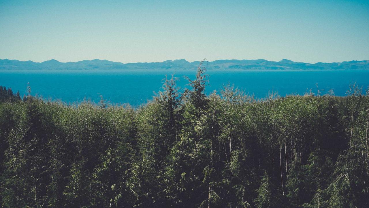 How to Start Freelancing in IT Conceptual Visualization