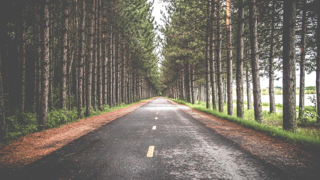 How to Speed Up WordPress Website Conceptual Visualization